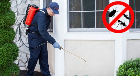 Nergiz Fare İlaçlama böcek ilaçlama ve haşere kontrolü — ilaclama-tr.com